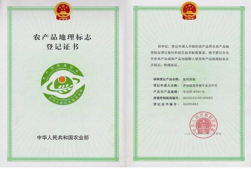 徒河黑豬榮譽(yù)